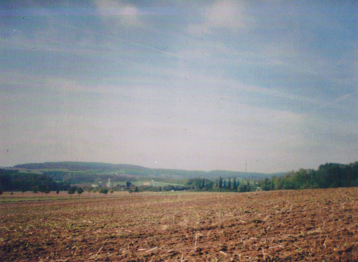 Cover artwork for playlist 'Nothing is real'