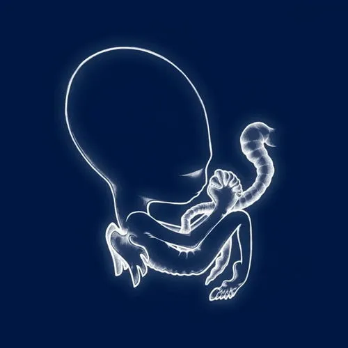 Cover artwork for playlist 'Sigur Rós – Ágætis byrjun'